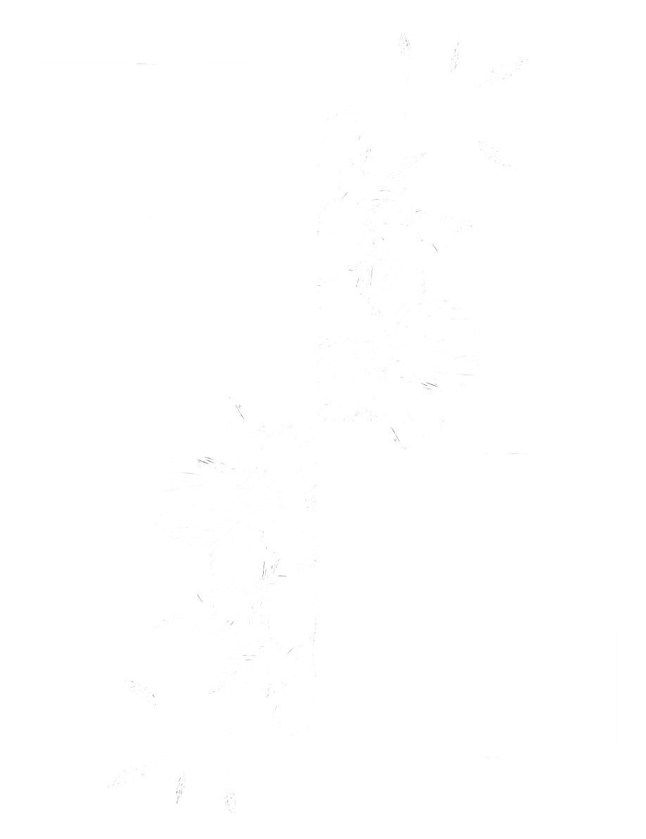 Nurse Glow Up - Centro de Estética Santiago